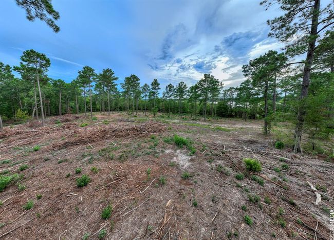 10 Fm 83, Home with 0 bedrooms, 0 bathrooms and null parking in Broaddus TX | Image 20