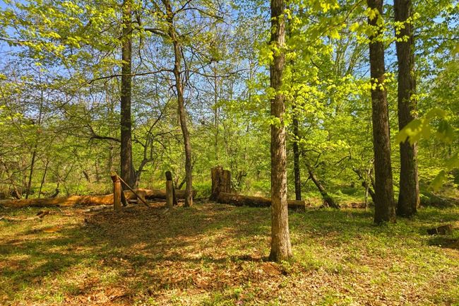 00 Cohutta Beaverdale Rd, Home with 0 bedrooms, 0 bathrooms and null parking in Cohutta GA | Image 14