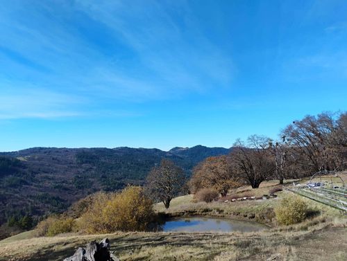 11 Dinsmore Rd, Bridgeville, CA, 95526-9629 | Card Image