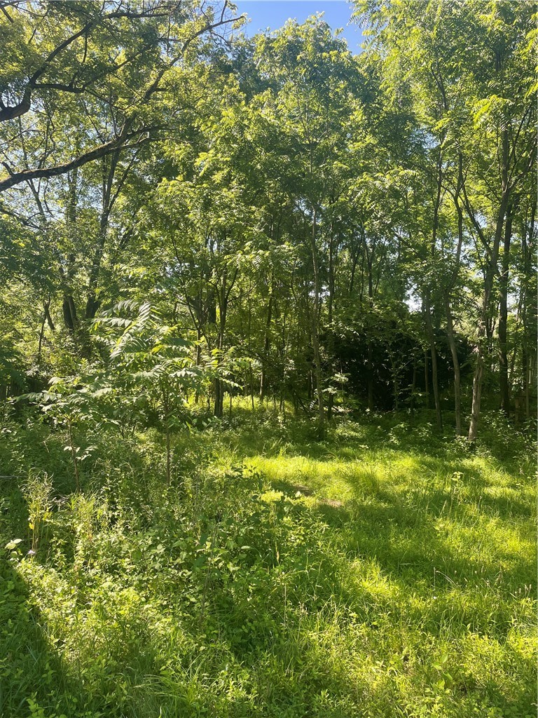 Farm in Forward Twp 2