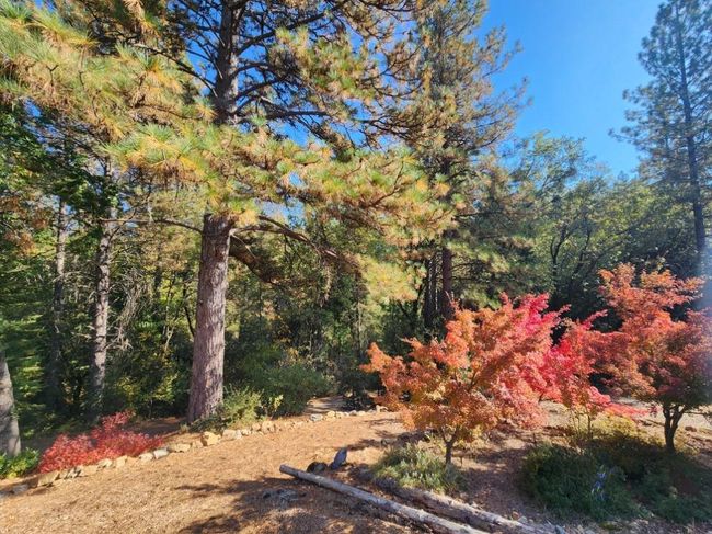 955 Grinding Rock Ct, House other with 3 bedrooms, 2 bathrooms and null parking in West Point CA | Image 78