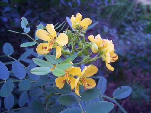 6400 Three Lakes Ln, Boynton Beach, FL, 33437-4934 | Card Image