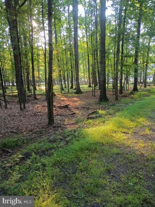 0 Chestnut Dr, Hazleton, PA, 18202 | Card Image