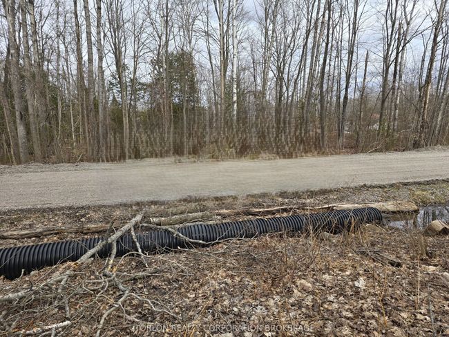422 Young Ave, Home with 0 bedrooms, 0 bathrooms and null parking in Port McNicoll ON | Image 7