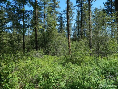 111 Murphy Ranch Rd, Tonasket, WA, 98855 | Card Image