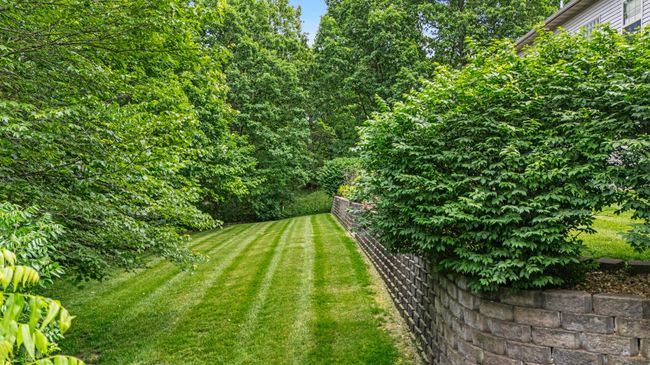 DJI_20250522141149_0159_D | Image 54