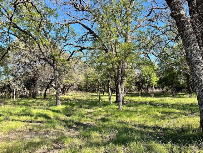 Lot 13 Cr 127, Home with 0 bedrooms, 0 bathrooms and null parking in Carlton TX | Image 32