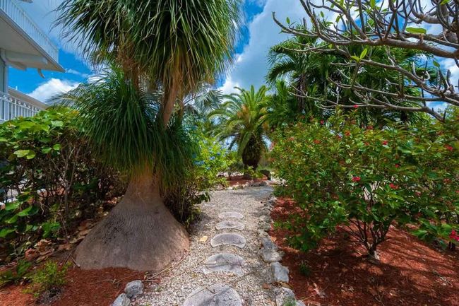 Yard | Image 65