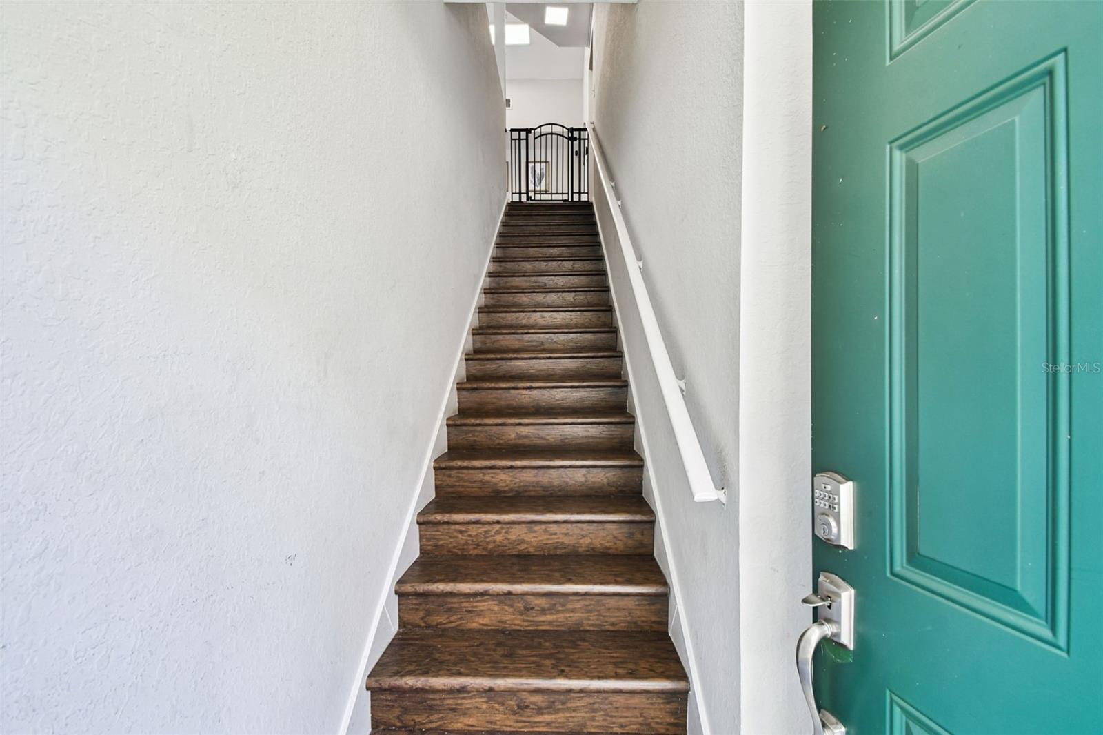 Residential in TAMPA 4