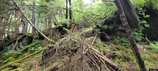 LOT-2-BLOCK-B-DUNCANS-CA - 000 Legal Address Only, Home with 0 bedrooms, 0 bathrooms and null parking in Excursion Inlet AK | Image 16