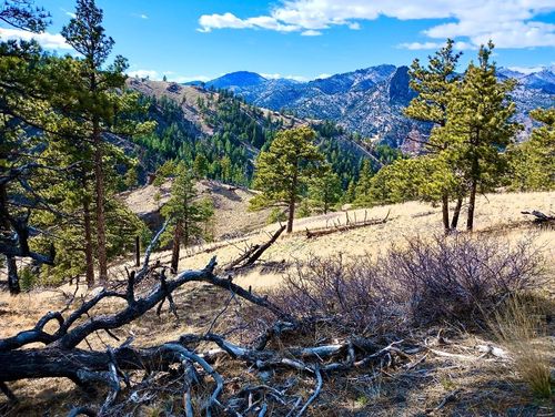 0 Novak Creek Ln, Cascade, MT, 59421 | Card Image