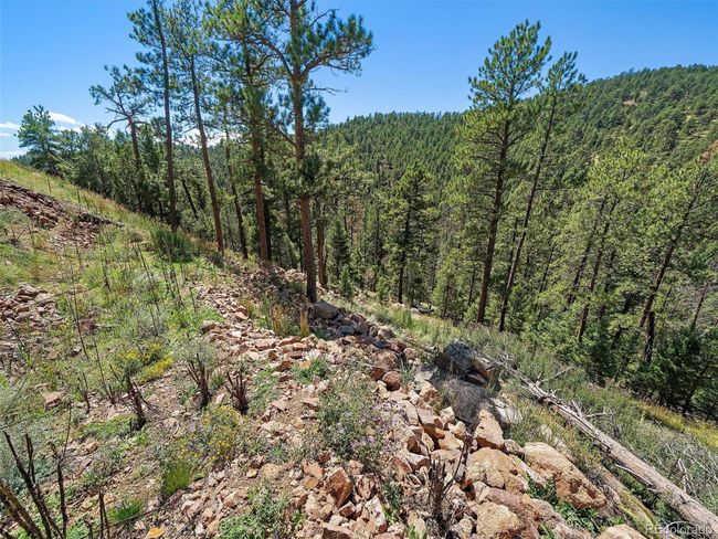 13809 Elsie Rd, Home with 0 bedrooms, 0 bathrooms and null parking in Conifer CO | Image 10