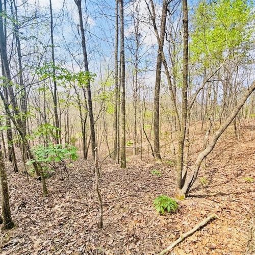 0 T Johnson Rd Ne, Ranger, GA, 30734 | Card Image