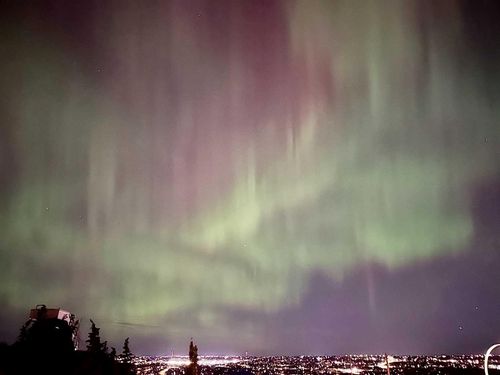 61 Cougar Ridge Cove Sw, Calgary, AB, T3H0S5 | Card Image