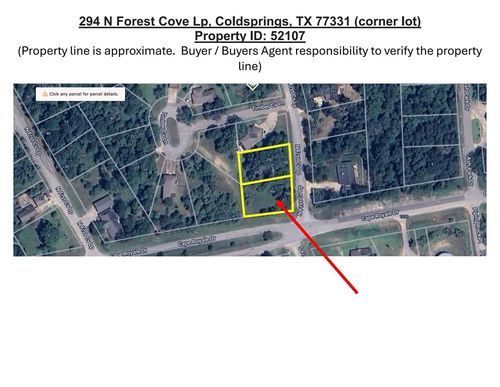 294 N Forest Cove Loop, Coldspring, TX, 77331 | Card Image