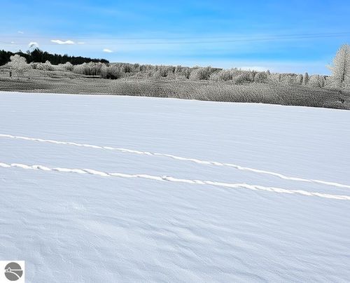 **** Walton Road, Kingsley, MI, 49649 | Card Image