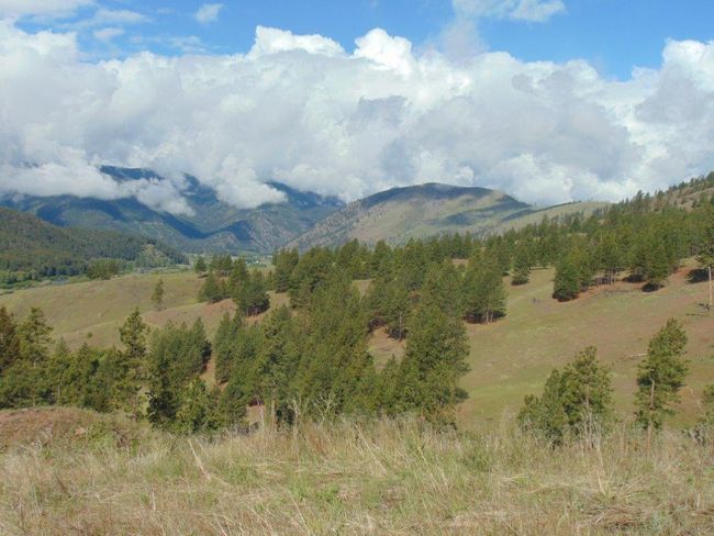 27235 Lazy Springs Rd, Home with 0 bedrooms, 0 bathrooms and null parking in Clinton MT | Image 57