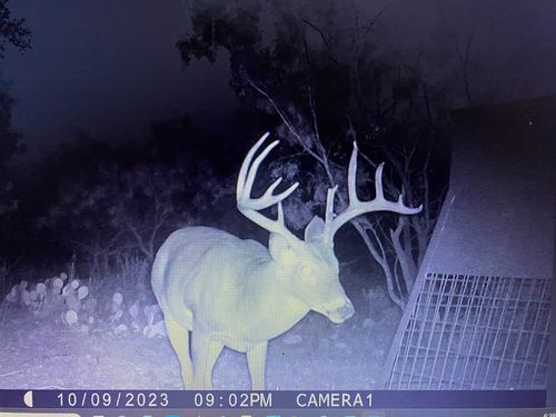 tbd Tbd County Rd 291, Breckenridge, TX, 76464 | Card Image