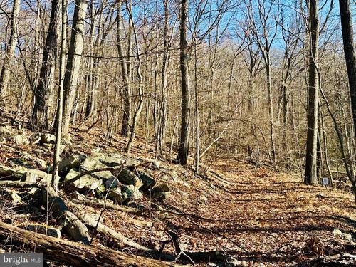 256 Lawyer Ln, SLANESVILLE, WV, 25444 | Card Image