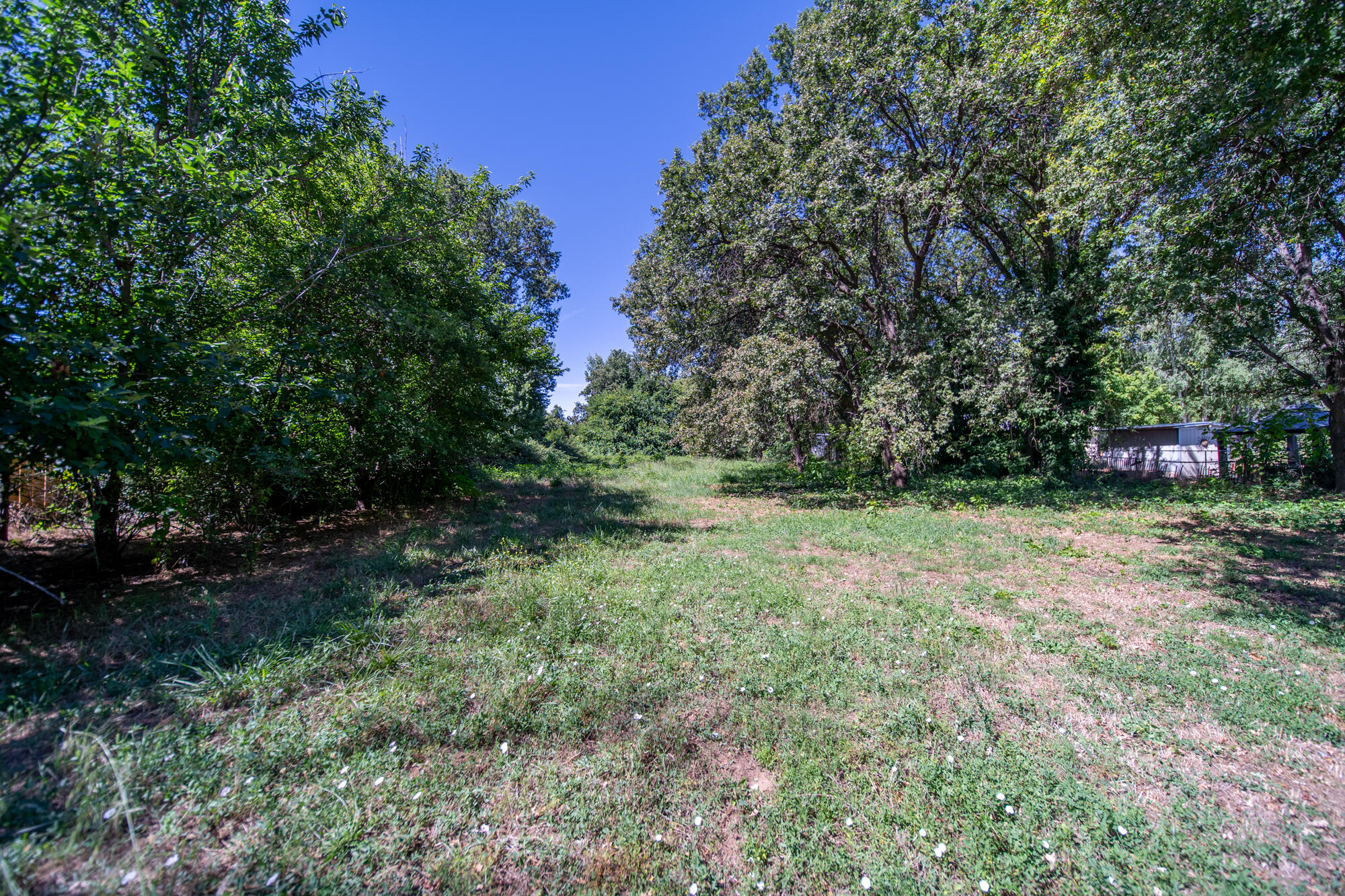 Land in Anderson 4