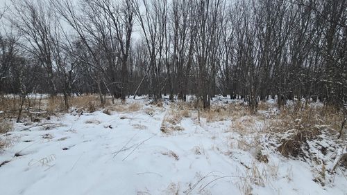 37-acres-ON Old 8 Rd, RHINELANDER, WI, 54501 | Card Image