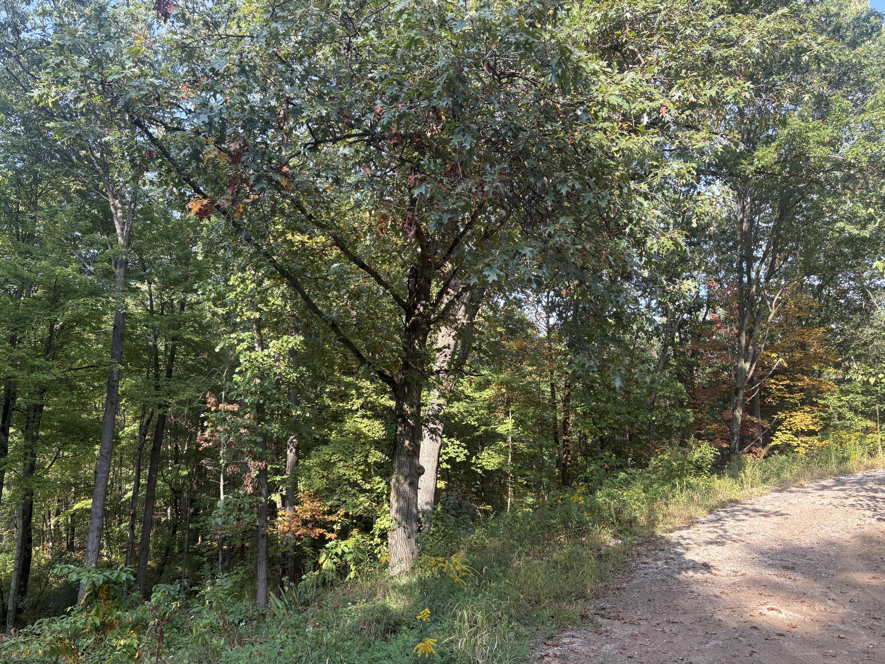 Land in Norton Shores