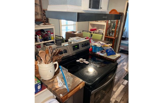 1285 Nw Sophie Dr, House other with 2 bedrooms, 2 bathrooms and 3 parking in White Springs FL | Image 30