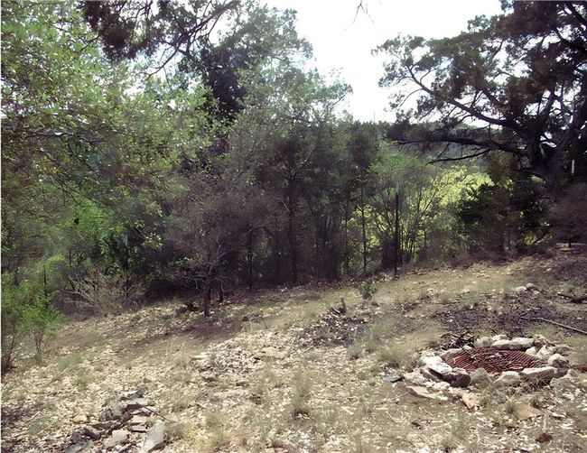 View of local wilderness with a forest view | Image 15