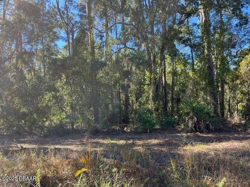 125 E Boundary Dr, GEORGETOWN, FL, 32139-2803 | Card Image