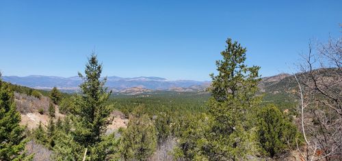 TBD Palmer Road, Cotopaxi, CO, 81223 | Card Image