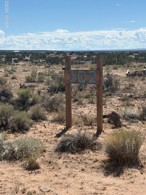 102 County Road N6287, Saint Johns, AZ, 85936 | Card Image