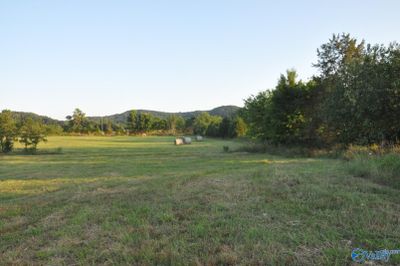 49 ACRES County Road 203, Home with 0 bedrooms, 0 bathrooms and null parking in Danville AL | Image 1