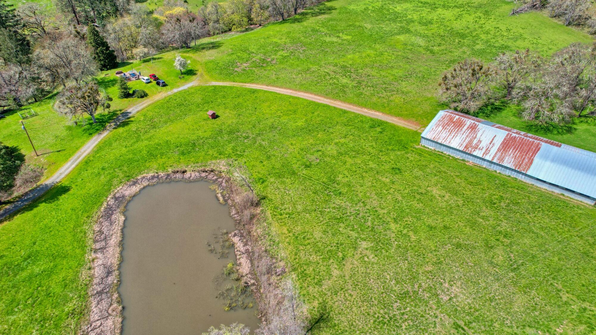 Land in Grants Pass 4