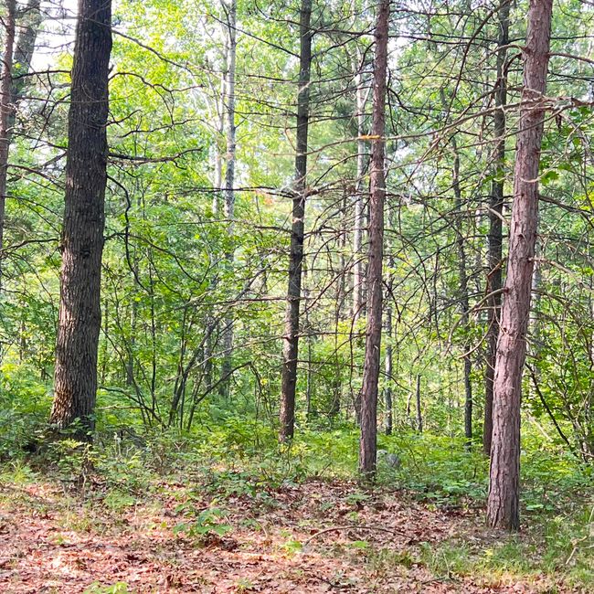 6539 Mattis Dr, House other with 2 bedrooms, 1 bathrooms and null parking in Glennie MI | Image 6