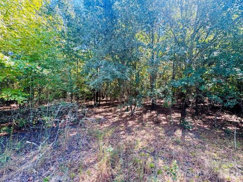 Lot 166 Brangus Lane, Cheraw, SC, 29520 | Card Image