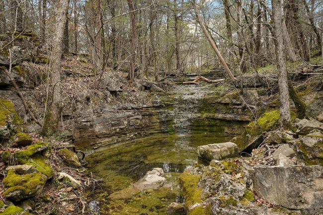 Fossil Cove Rd-58 | Image 57