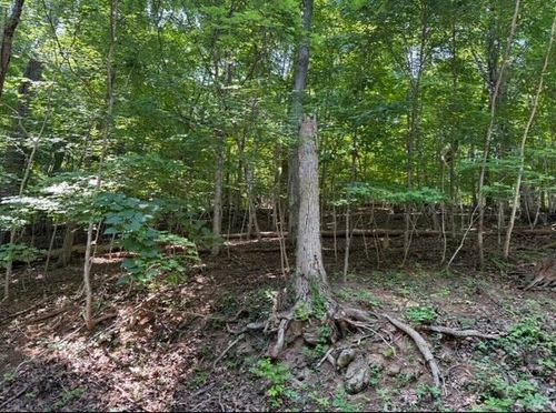 00 Zana Dr, Salem, VA, 24153 | Card Image