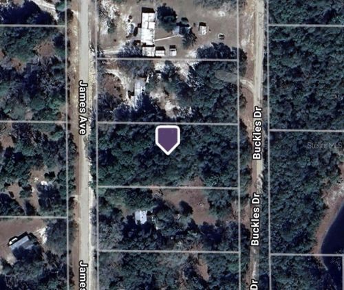 106 James Ave, Interlachen, FL, 32148-4104 | Card Image