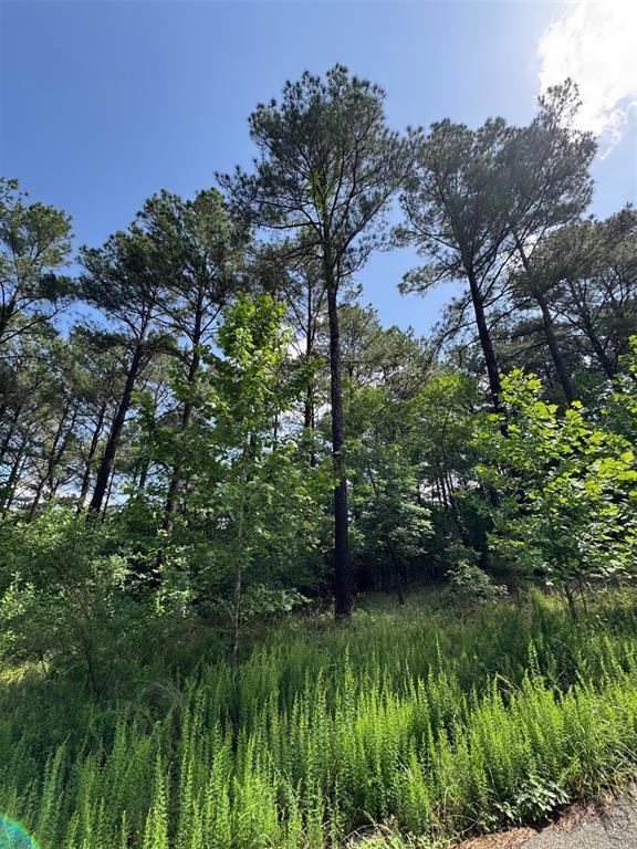 Land in Broken Bow
