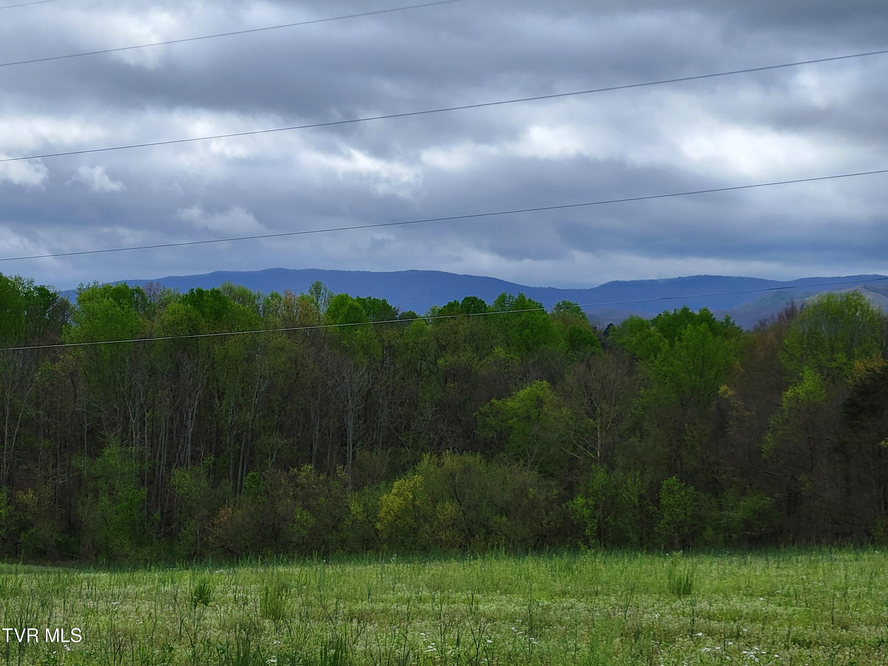 Land in Limestone 2