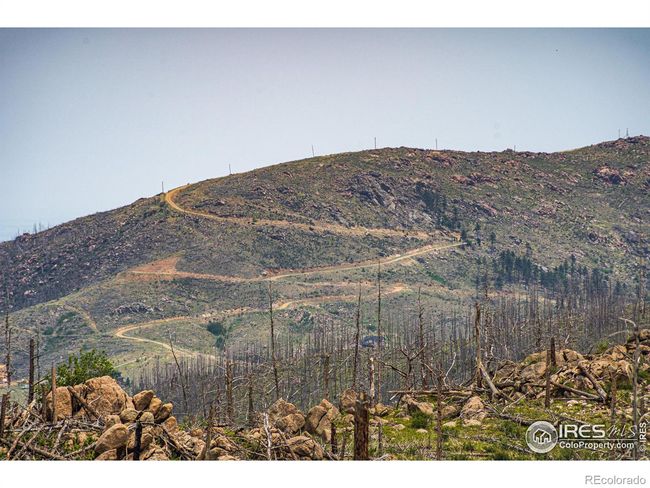 2384 Rist Creek Rd, Home with 0 bedrooms, 0 bathrooms and null parking in Bellvue CO | Image 29