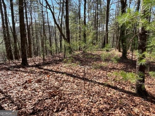 LT 24 Pickett Mill Ln, Ellijay, GA, 30540 | Card Image