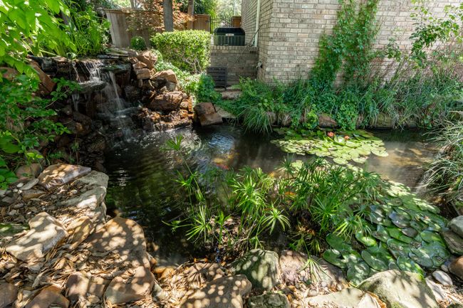 View of a koi pond with waterfall feature | Image 33