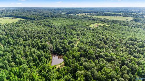 284 acres County Road 1435, Vinemont, AL, 35179 | Card Image