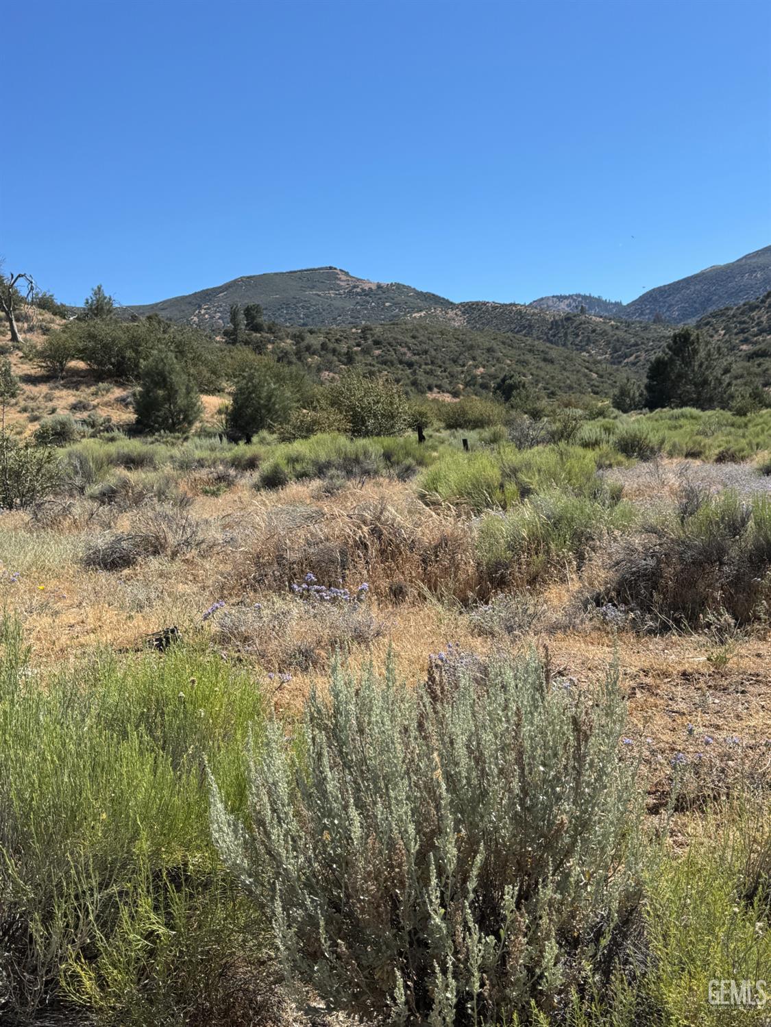 Land in Tehachapi 5