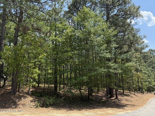 107 Otter Dr, West End, NC, 27376 | Card Image