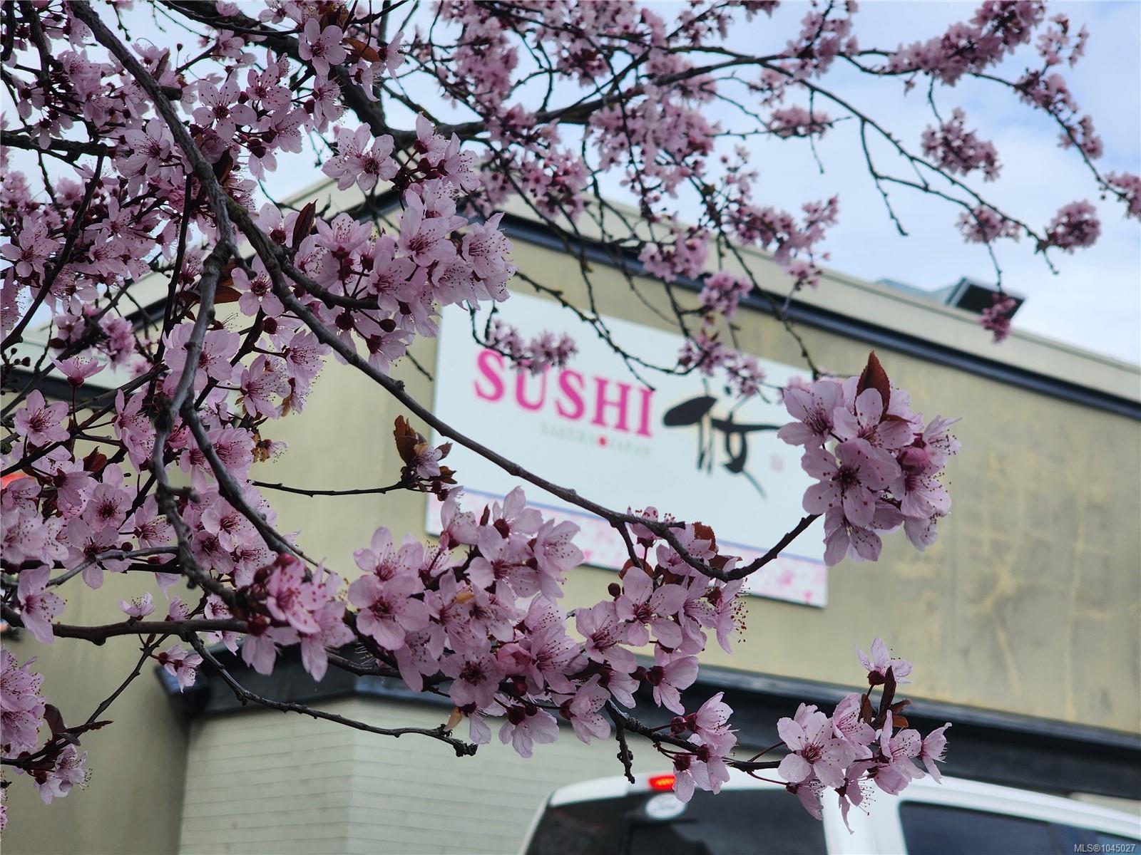 Commercial Sale in Parksville