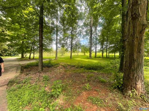 995 Mckee Rd, Toney, AL, 35773-8676 | Card Image