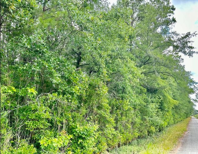 View of nature | Image 8