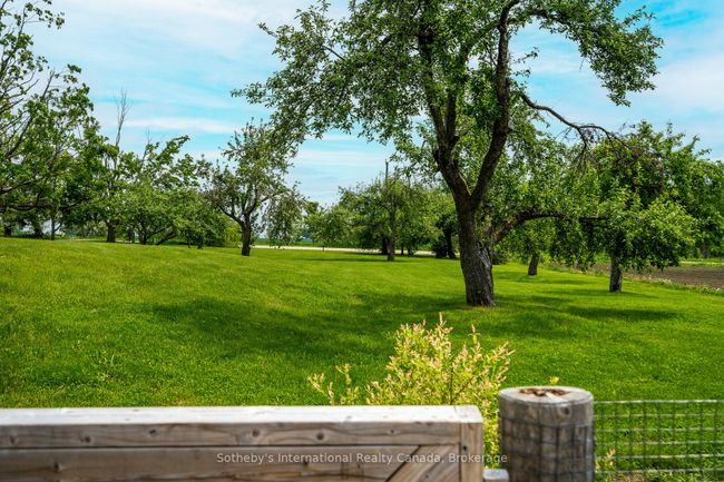 2566 5 Th Line, House other with 4 bedrooms, 3 bathrooms and 4 parking in Creemore ON | Image 43